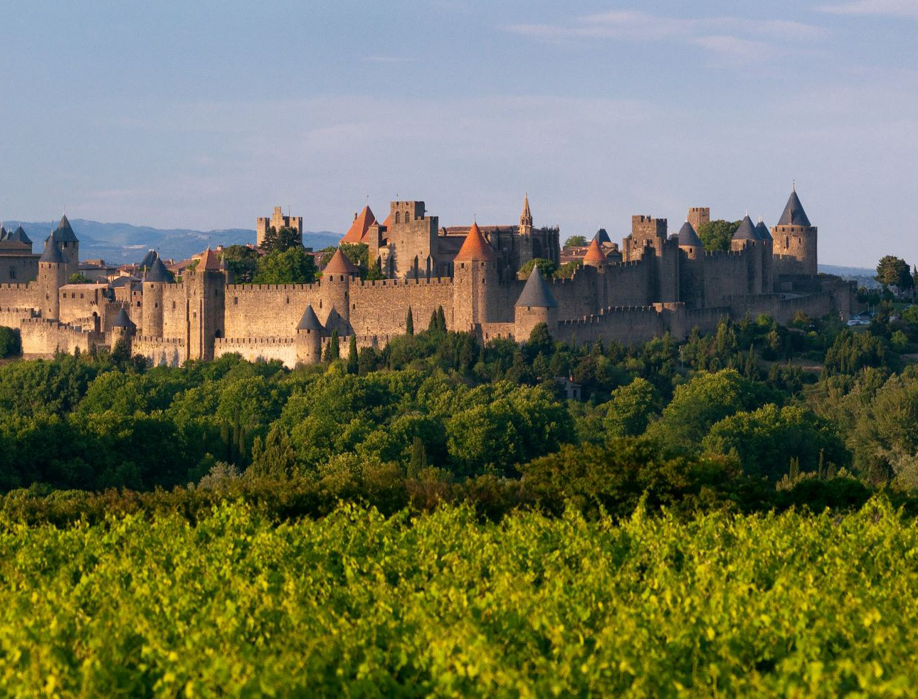 Aude carcassonne séminaire activité